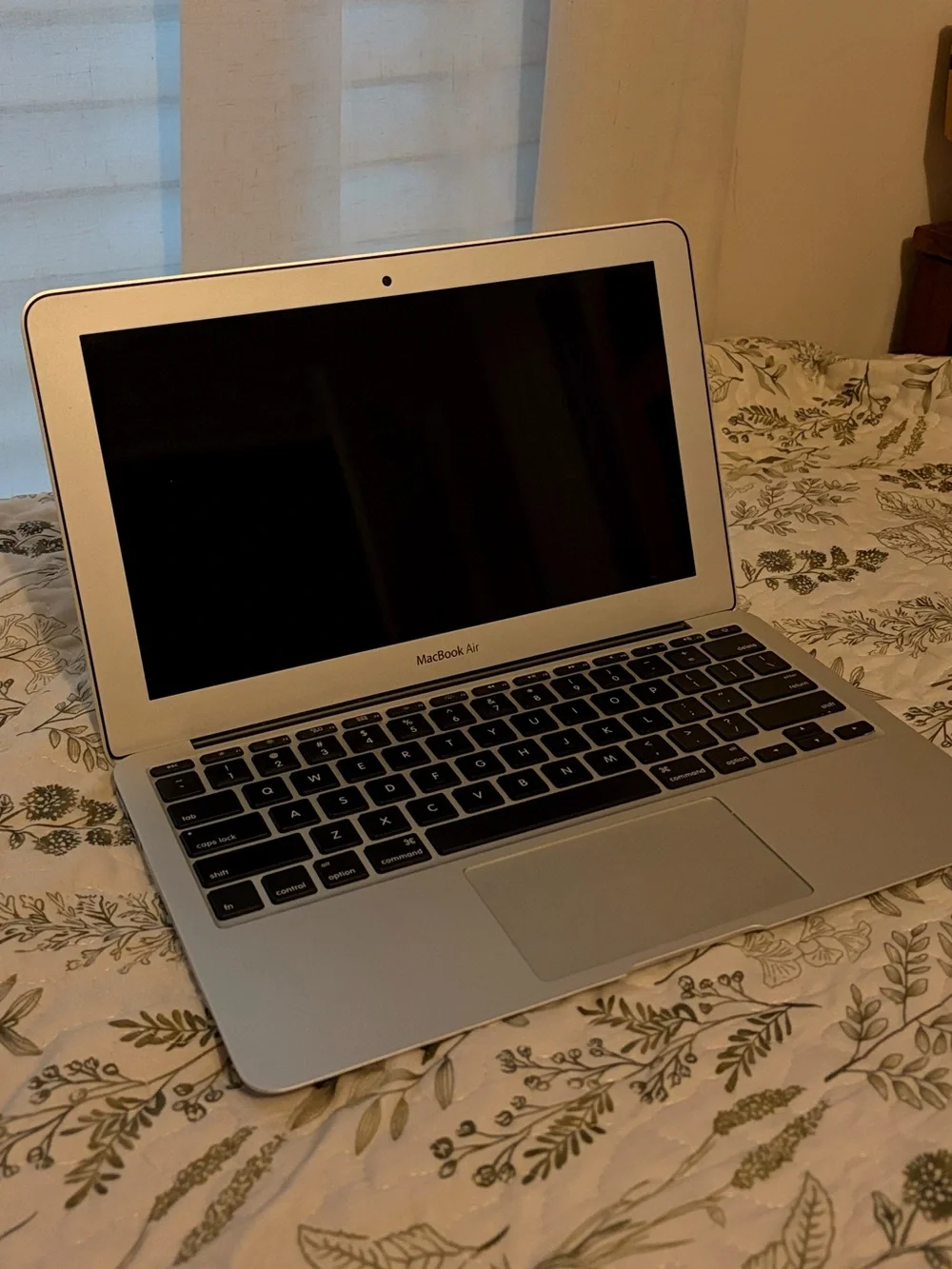 MacBook Air 11 (2015)